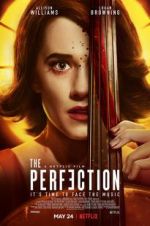 Watch The Perfection 123movies