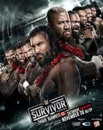 Watch WWE Survivor Series WarGames (TV Special 2024) 123movies