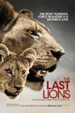 Watch The Last Lions 123movies