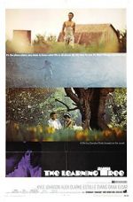 Watch The Learning Tree 123movies