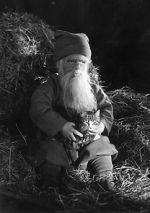 Watch Tomten 123movies