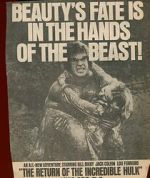 Watch The Return of the Incredible Hulk 123movies