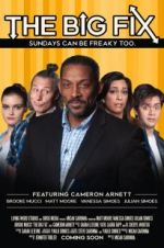 Watch The Big Fix 123movies