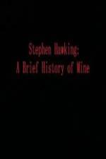 Watch Stephen Hawking A Brief History of Mine 123movies