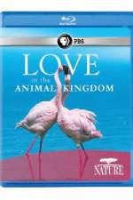 Watch Nature: Love in the Animal Kingdom 123movies