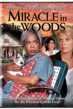 Watch Miracle in the Woods 123movies