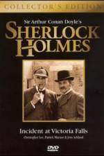 Watch Incident at Victoria Falls 123movies