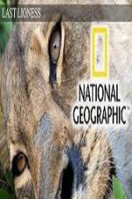 Watch The Last Lioness 123movies