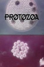 Watch Protozoa 123movies