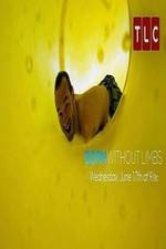 Watch Born Without Limbs 123movies