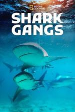 Watch Shark Gangs 123movies