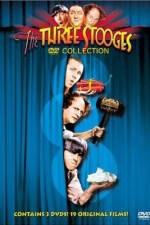 Watch The Ghost Talks 123movies