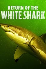 Watch Return of the White Shark 123movies