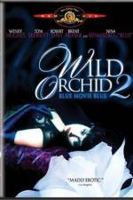 Watch Wild Orchid II Two Shades of Blue 123movies