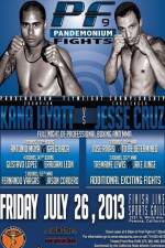 Watch Pandemonium Fights 9 123movies