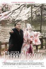 Watch Cherry Blossoms 123movies