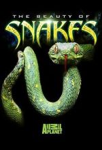 Watch Beauty of Snakes 123movies
