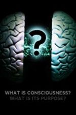 Watch What Is Consciousness? What Is Its Purpose? 123movies