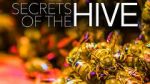 Watch Secrets of the Hive 123movies