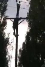 Watch After the Wind 123movies