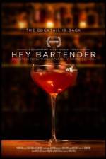 Watch Hey Bartender 123movies