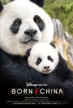 Watch Born in China 123movies
