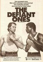 Watch The Defiant Ones 123movies
