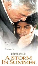 Watch A Storm in Summer 123movies