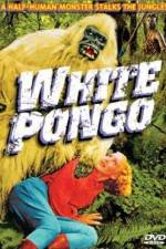 Watch White Pongo 123movies