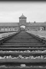 Watch AUSCHWITZ: ORDERS AND INITIATIVES 123movies