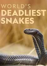 Watch World's Deadliest Snakes 123movies