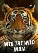 Watch Into the Wild India 123movies