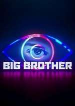 Watch Big Brother 123movies