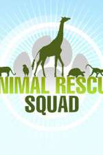 Watch Animal Rescue Squad 123movies