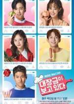 Watch Dae Jang Geum Is Watching 123movies