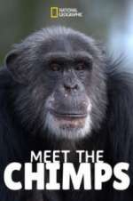 Watch Meet the Chimps 123movies