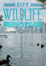 Watch City Wildlife Rescue 123movies