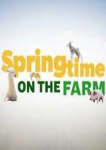 Watch Springtime on the Farm 123movies