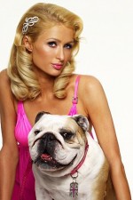 Watch Paris Hilton's British Best Friend 123movies