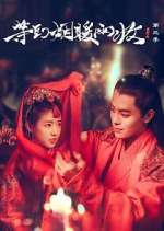 Watch Buried City to Shut All Lights 123movies