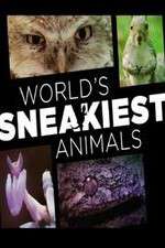 Watch World's Sneakiest Animals 123movies