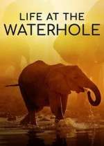 Watch Life at the Waterhole 123movies