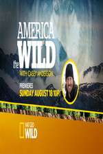Watch America the Wild 123movies