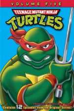Watch Teenage Mutant Ninja Turtles 123movies