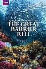 Watch Great Barrier Reef with David Attenborough 123movies