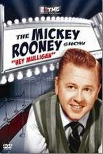 Watch The Mickey Rooney Show 123movies