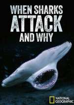 Watch When Sharks Attack... And Why 123movies