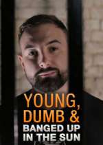 Watch Young Dumb & Banged Up in the Sun 123movies