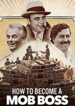Watch How to Become a Mob Boss 123movies