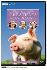 Watch All Creatures Great and Small 123movies
